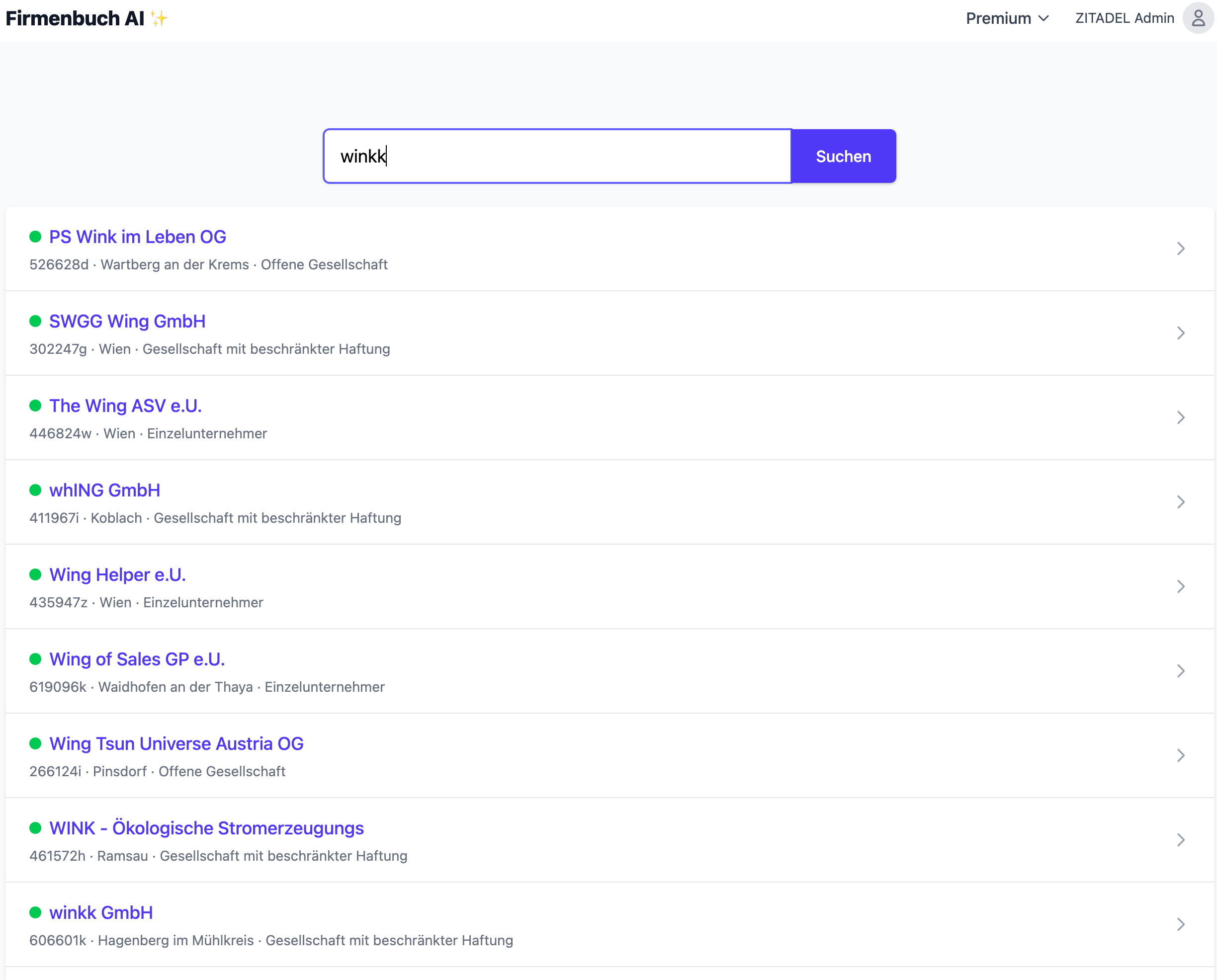 Screenshot der Premium-Analyse mit KI-Ergebnissen